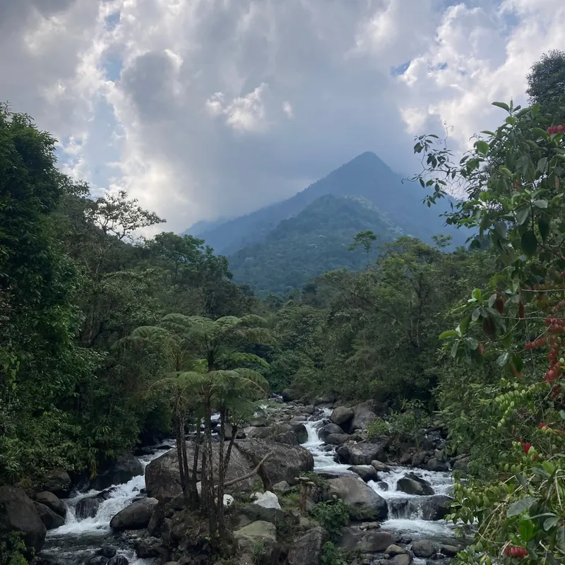 Río de montaña entre la selva con un cerro al fondo