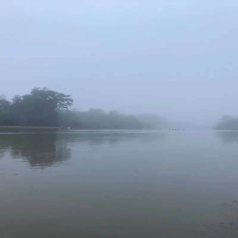 Río en calma cubierto de niebla al amanecer