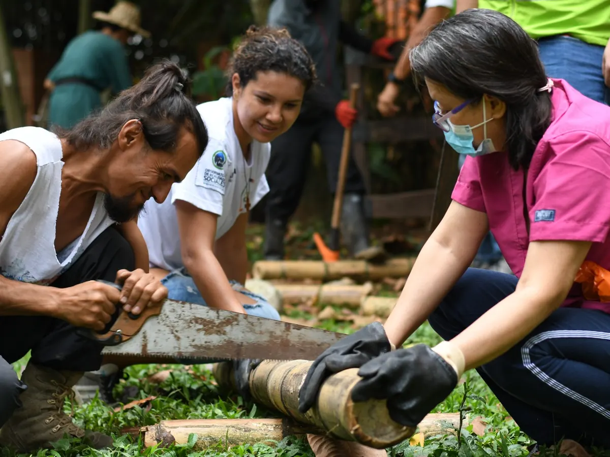 Tres personas trabajan juntas cortando una guadua durante una jornada comunitaria
