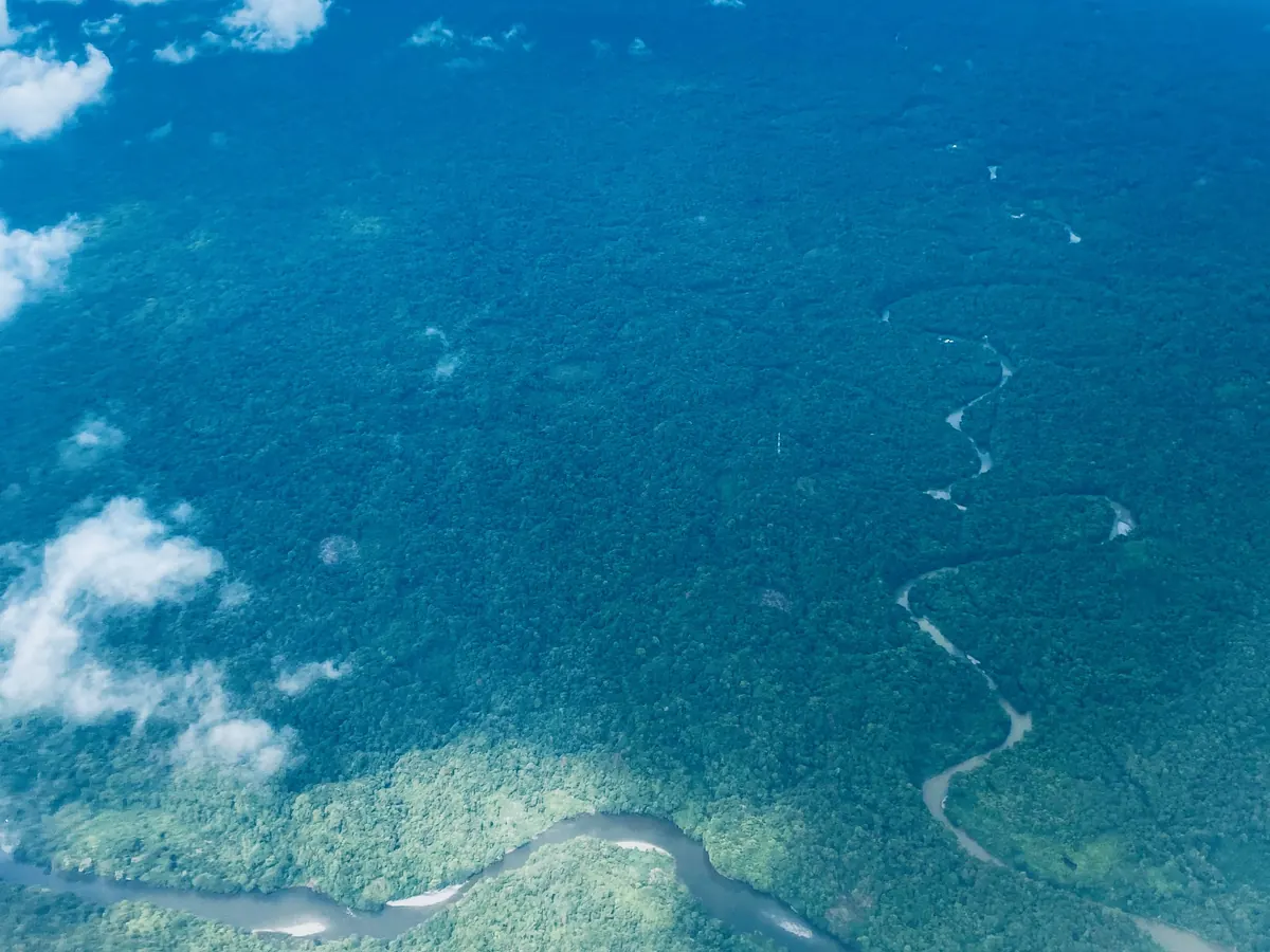 Vista aérea de un río que serpentea entre la selva del Pacífico colombiano